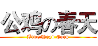 公鸡の春天 (Blue Head Cock)