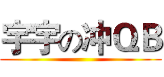 宇宇の冲ＱＢ ()