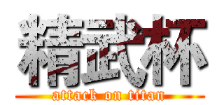 精武杯 (attack on titan)
