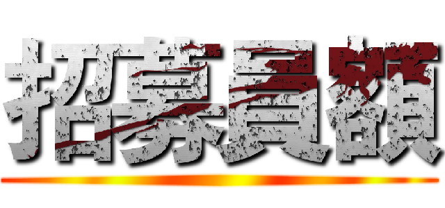 招募員額 ()