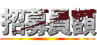 招募員額 ()