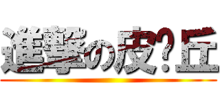 進撃の皮卡丘 ()