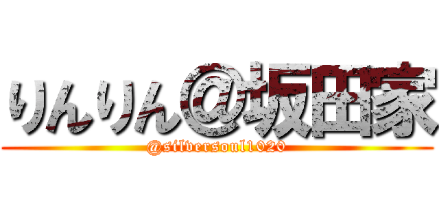 りんりん＠坂田家 (@silversoul1020)