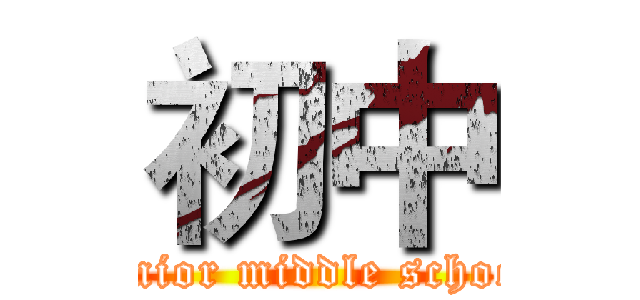 初中 (junior middle school)
