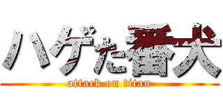 ハゲた番犬 (attack on titan)