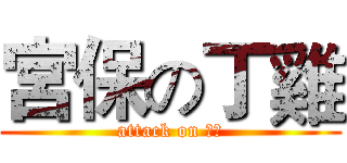 宮保の丁雞 (attack on 丁丁)
