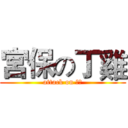 宮保の丁雞 (attack on 丁丁)