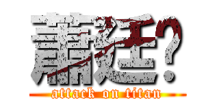 蕭廷婷 (attack on titan)