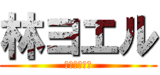 林ヨエル (金正恩大好き)