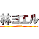 林ヨエル (金正恩大好き)