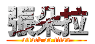 張朵拉 (attack on titan)