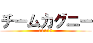 チームカグニー (ＨＯＭＯ　Ｏｎｌｙ)
