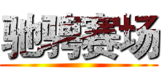 驰骋赛场 ()
