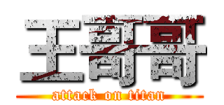 王哥哥 (attack on titan)