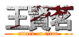 王賢茗 (attack on titan)