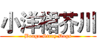 小洋裙芥川 (Bungo Stray Dogs)