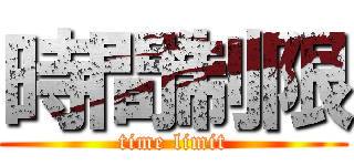 時間制限 (time limit)