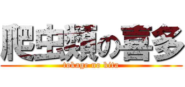 爬虫類の喜多 (tokage no kita)