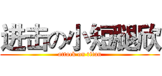 进击の小短腿欣 (attack on titan)