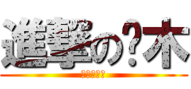 進撃の仓木 (進撃の仓木)
