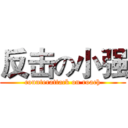 反击の小强 (counterattack on roach)