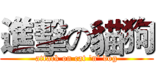 進擊の貓狗 (attack on cat 'n' dog)