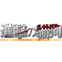 進擊の貓狗 (attack on cat 'n' dog)