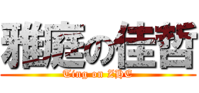 雅庭の佳哲 (Ting on ZHE)