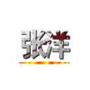 张洋 ()