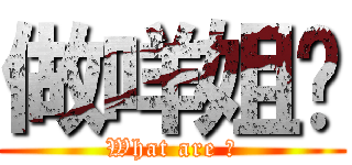 做咩姐你 (What are 有)