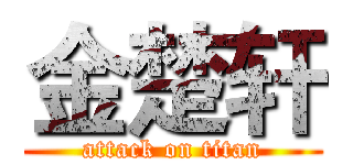 金楚轩 (attack on titan)