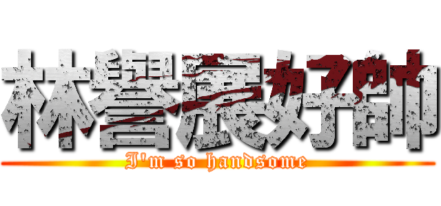 林譽展好帥 (I\'m so handsome)