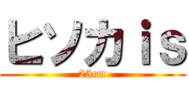 ヒソカｉｓ (25cm)