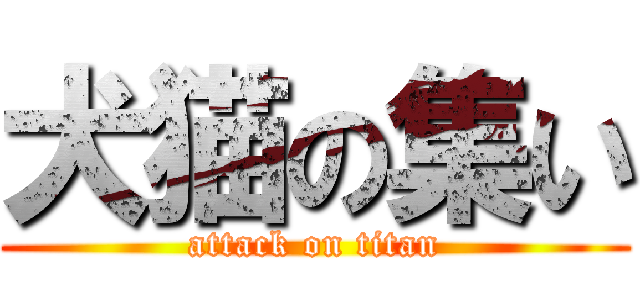 犬猫の集い (attack on titan)