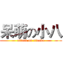 呆萌の小八 (attack on xiaoba)
