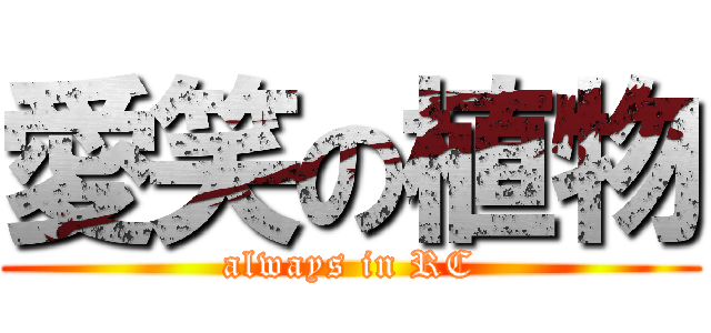 愛笑の植物 (always in RC)