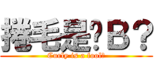 捲毛是傻Ｂ？ (Curly is a fool?)