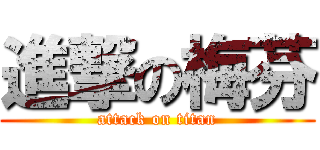 進撃の梅芬 (attack on titan)