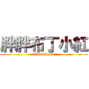 胖胖布丁小紅 (Puddingsb)