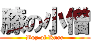 膝の小僧 (Boy of Knee)