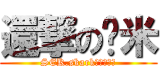 還撃の洨米 (SEK.skark電競代表隊)