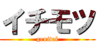 イチモツ (genital)