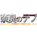 奈良のデブ (attack on titan)