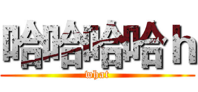 哈哈哈哈ｈ (what)