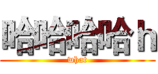 哈哈哈哈ｈ (what)