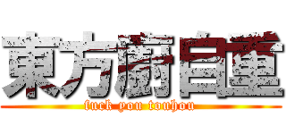 東方廚自重 (fuck you touhou)