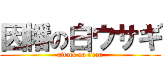 因幡の白ウサギ (attack on titan)