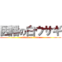 因幡の白ウサギ (attack on titan)