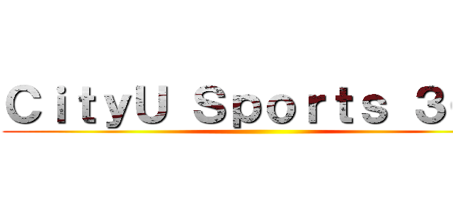 ＣｉｔｙＵ Ｓｐｏｒｔｓ ３００ ()