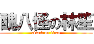 醜八怪の林笙 (attack on titan)
